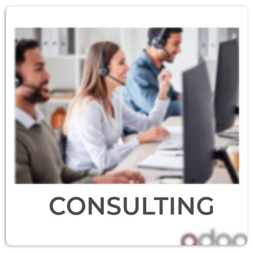 Odoo Consulting Service